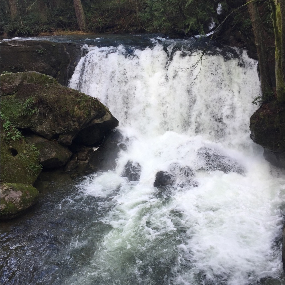 Meet your Posher, Peyton